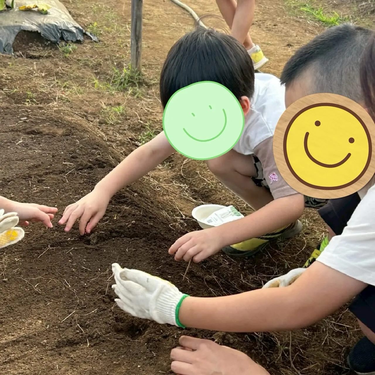 今日は、みんなで大根とにんじん🥕の種を畑にまきました😄